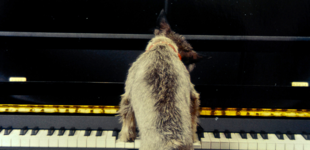 Musical Education